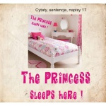  Napis na ścianę, naklejka - The Princess Sleeps Here - 17