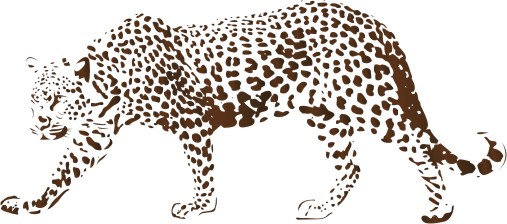  Naklejka na ścianę leopard - Dzikie koty 13