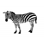  Zebra 1 - Szablon malarski wielorazowy